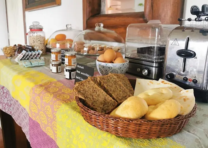 B&B Parco degli Ulivi