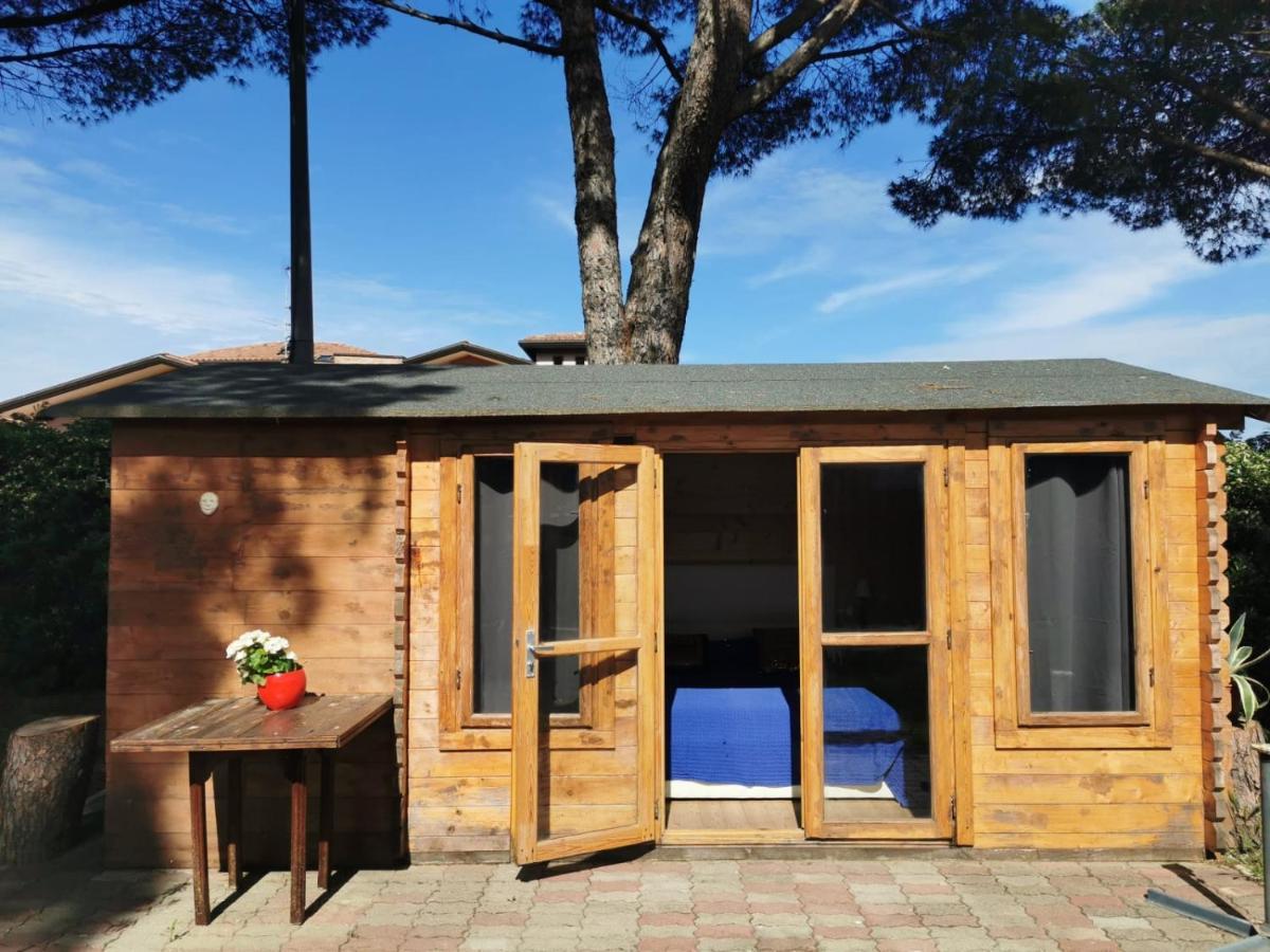 Bed & Breakfast Parco Degli Ulivi *