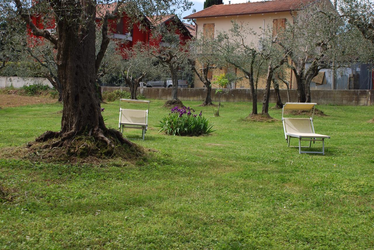 Parco Degli Ulivi Misano Adriatico