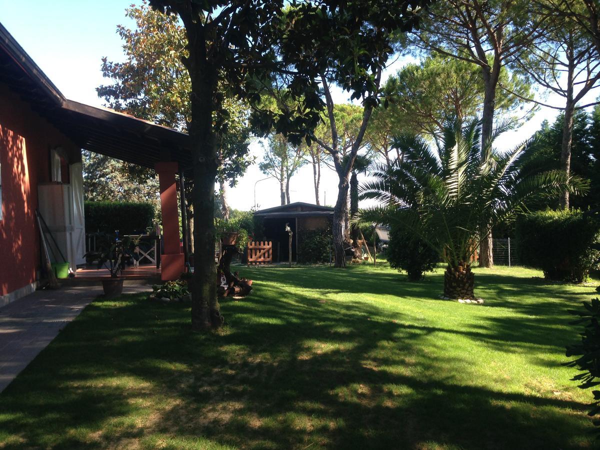 Parco Degli Ulivi Bed & Breakfast *