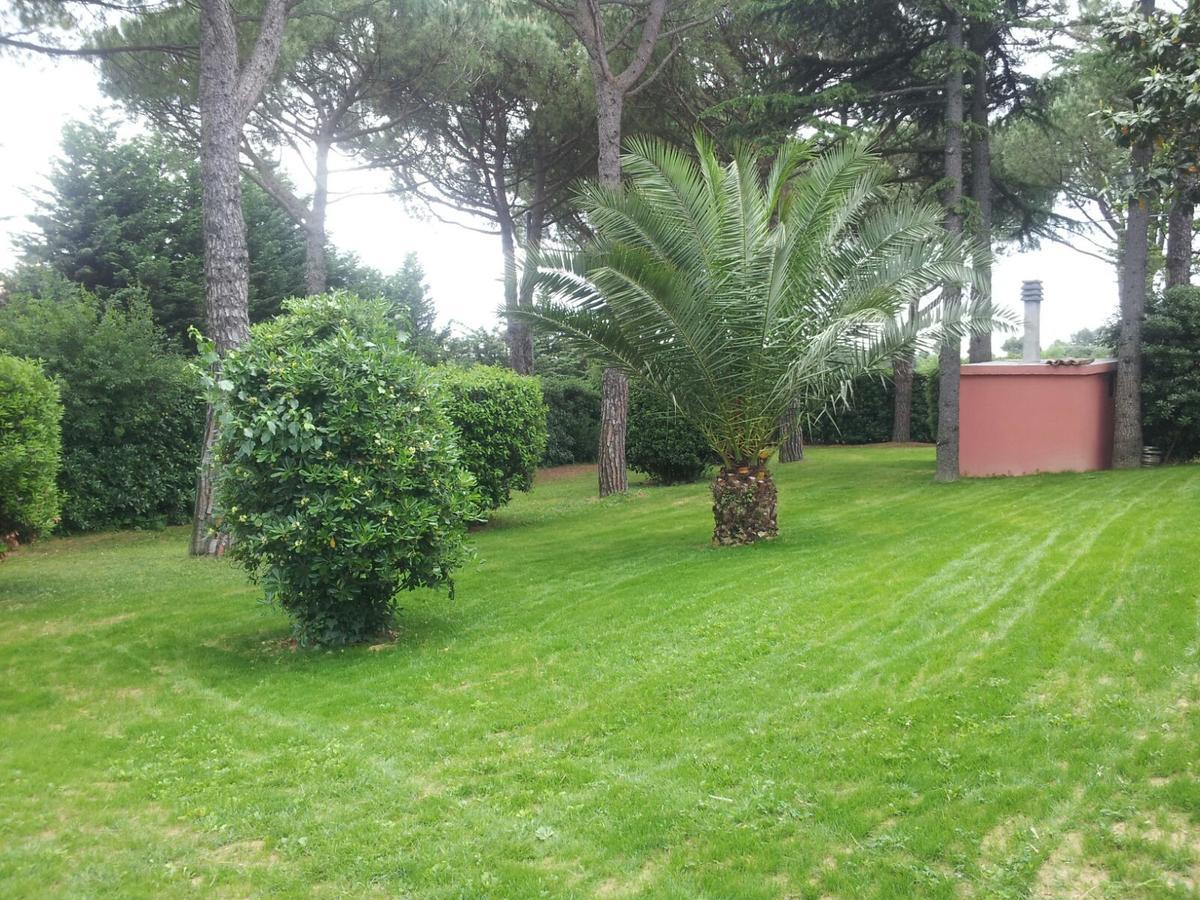 Bed & Breakfast Parco Degli Ulivi *