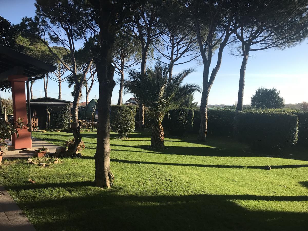 Parco Degli Ulivi Bed & Breakfast