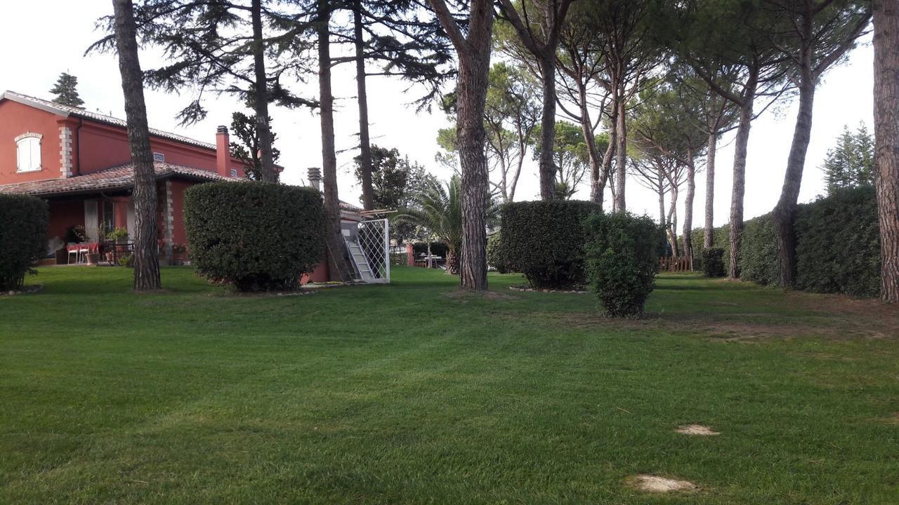 Bed & Breakfast Parco Degli Ulivi Misano Adriatico